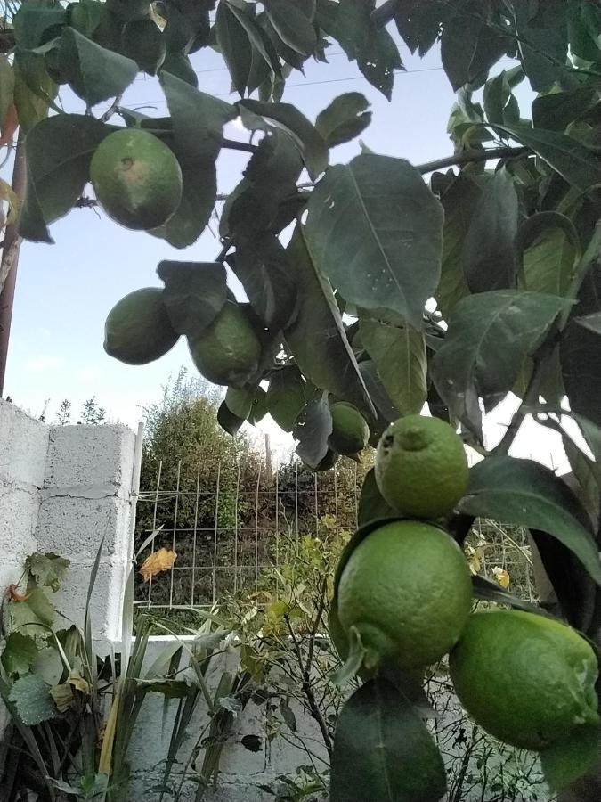 Appartamento Frasta'S Rose Plaka  Esterno foto